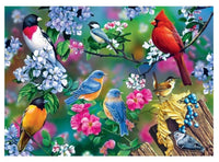 Audubon Songbird Collage Puzzle 1000pcs - ToyTime