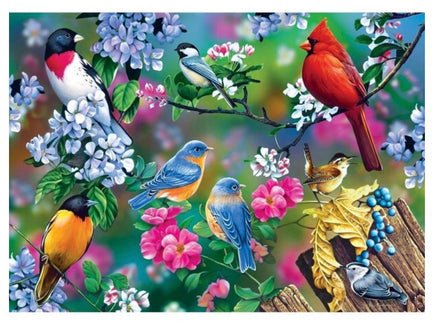 Audubon Songbird Collage Puzzle 1000pcs - ToyTime