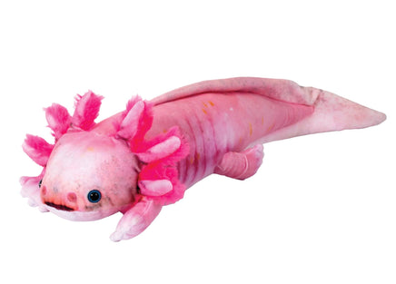 Axolotl 15 inch - ToyTime