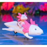 Axolotl joyride - ToyTime