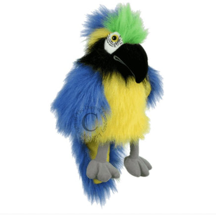 Baby Birds: Blue & Gold Macaw Baby - ToyTime