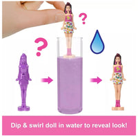 Barbie Mini Land Color Reveal Dolls Assortment - ToyTime