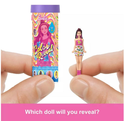 Barbie Mini Land Color Reveal Dolls Assortment - ToyTime