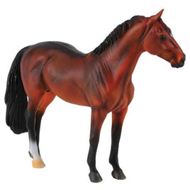 Bay Hanoverian Stallion - ToyTime