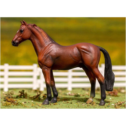 Bay Hanoverian Stallion - ToyTime