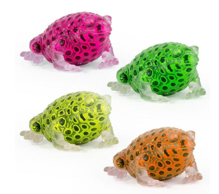 Bead Alive Frog - ToyTime