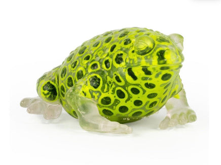 Bead Alive Frog - ToyTime