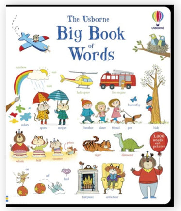 Big book of words - ToyTime