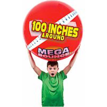 Big Fun Bounce Ball - ToyTime