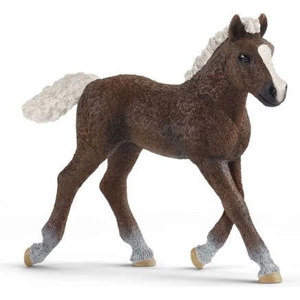 Black Forest Foal 13899 - ToyTime