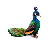 Blue Peacock - ToyTime