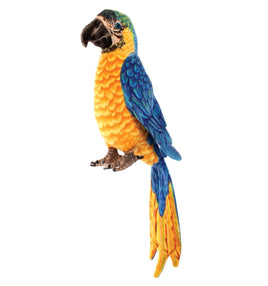 Blue & Yellow Macaw Parrot 12 inch - ToyTime
