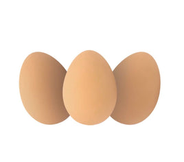 Bouncy Eggs - ToyTime