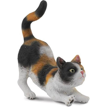 British shorthair 3 color cat - ToyTime