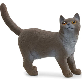 British Shorthair Cat 13973 - ToyTime