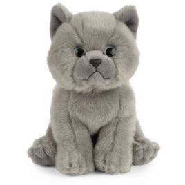 British Shorthair Cat AN447 - ToyTime