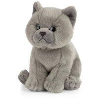 British Shorthair Cat AN447 - ToyTime