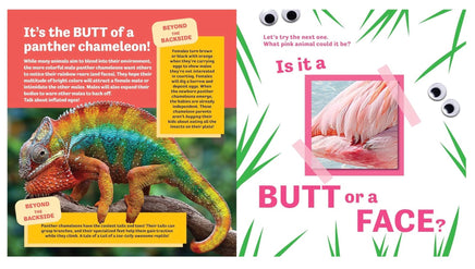 Butt or Face Rainbow Butts - ToyTime