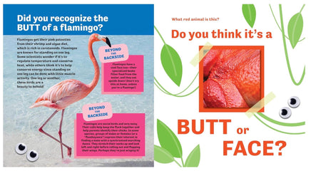 Butt or Face Rainbow Butts - ToyTime