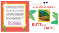 Butt or Face Rainbow Butts - ToyTime
