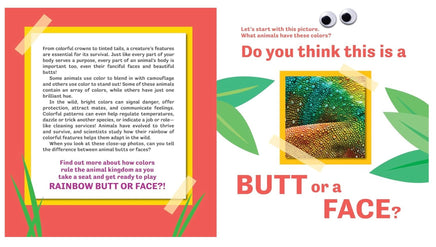 Butt or Face Rainbow Butts - ToyTime