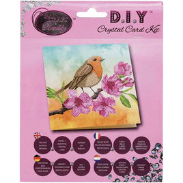 CA Card Kit Robin - ToyTime