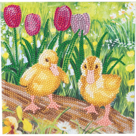 CA Card Kit Spring Chick - ToyTime