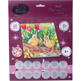 CA Card Kit Spring Chick - ToyTime