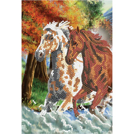 CA Notebook Kit Wild Horse - ToyTime