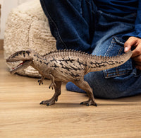 Carcharodontosaurus 15048 - ToyTime