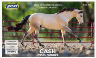 Cash Essay Winner - ToyTime