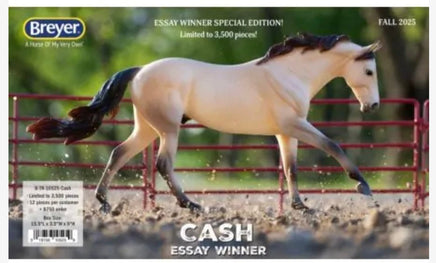 Cash Essay Winner - ToyTime