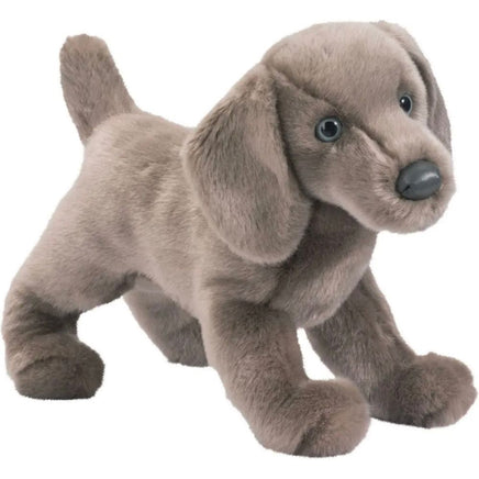 Cassie Weimaraner 2016@Douglas - ToyTime