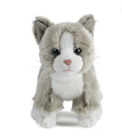 Cat Assortment Small - ToyTime