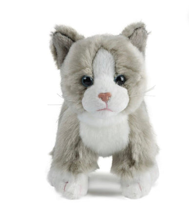 Cat Assortment Small - ToyTime