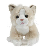 Cat Assortment Small - ToyTime