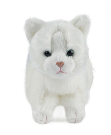 Cat Assortment Small - ToyTime