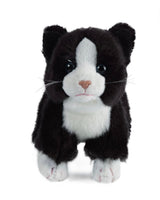 Cat Assortment Small - ToyTime