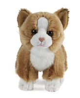 Cat Assortment Small - ToyTime