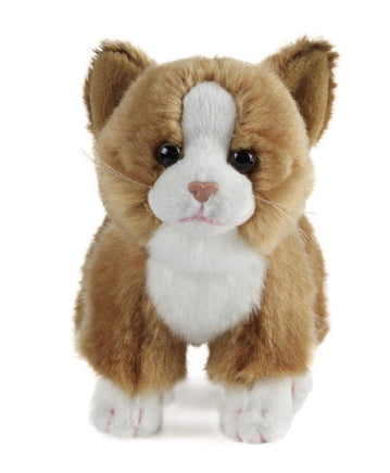 Cat Assortment Small - ToyTime