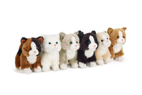 Cat Assortment Small - ToyTime