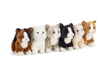 Cat Assortment Small - ToyTime