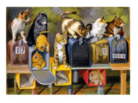Cats Got Mail 300Pcs Puzzle - ToyTime