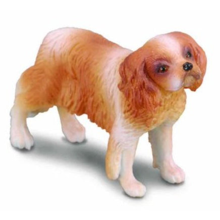 Cavalier King Charles Spaniel - ToyTime