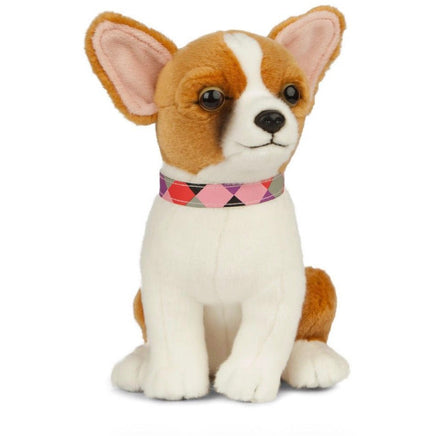 Chihuahua AN513 - ToyTime