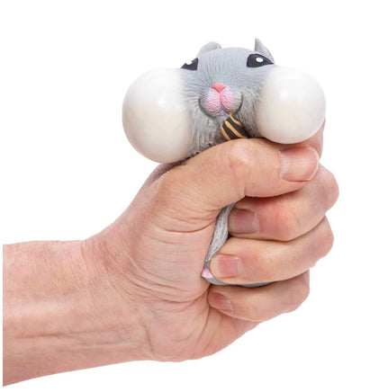 Chonky Cheeks Hampster - ToyTime