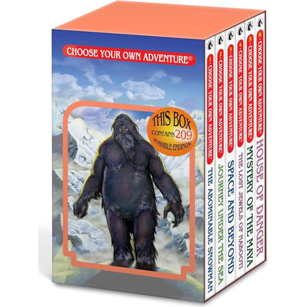 Choose Your Own Adventure Box - ToyTime