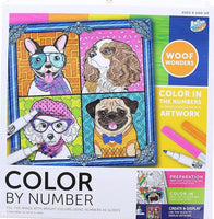 Color by Numbers Kit Assortment - ToyTime
