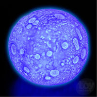 Color Changing Moon Light...@Toy Network - ToyTime