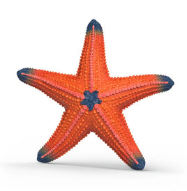 Color Changing Starfish 14902 - ToyTime